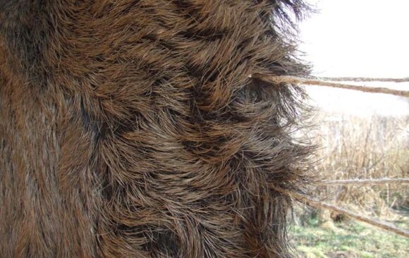 Lukarska radionica Staro brdo