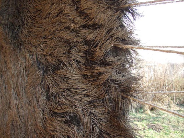 Lukarska radionica Staro brdo