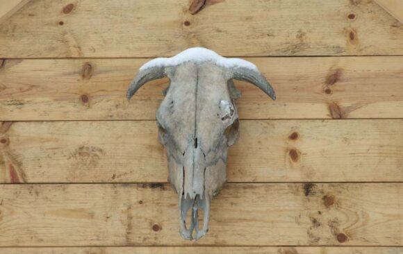 Lukarska radionica Staro brdo