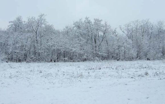Lukarska radionica Staro brdo
