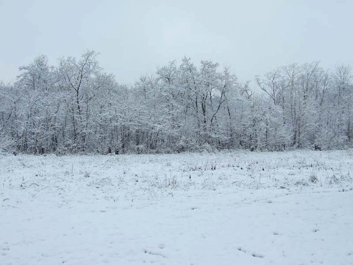 Lukarska radionica Staro brdo