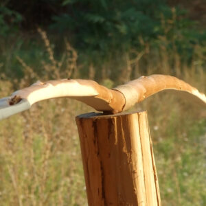 I luk “Jicarilla” dobio