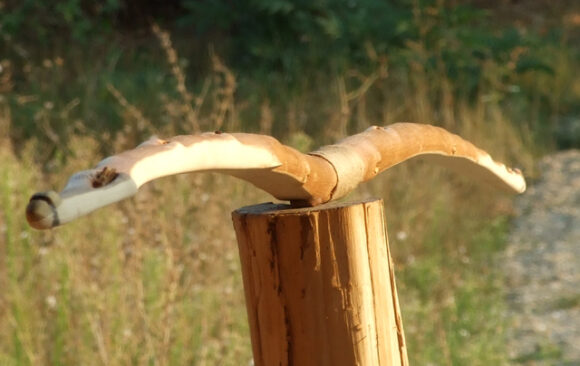 I luk “Jicarilla” dobio