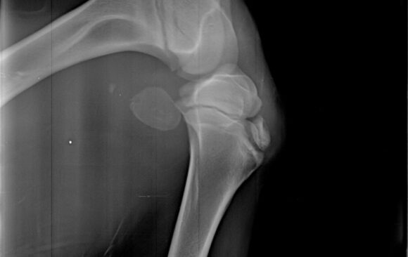 „Ko u čuda veruje taj čuda i stvara“