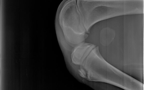 „Ko u čuda veruje taj čuda i stvara“